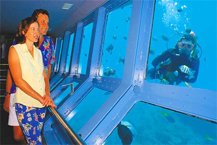 凯恩斯大堡礁银梭号水下海景